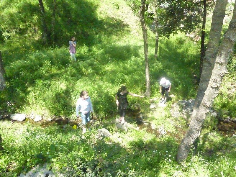 P1020837 [1600x1200].JPG